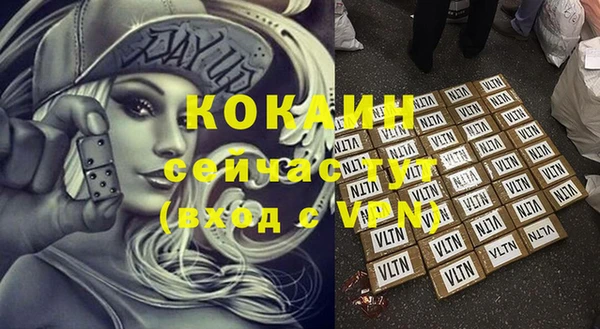 гашик Слюдянка